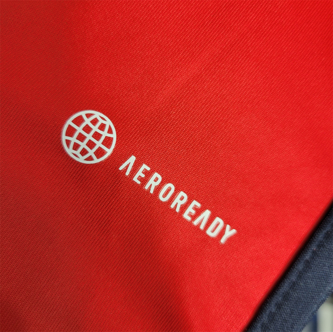 Colo Colo Away Jersey Replica 2023/24