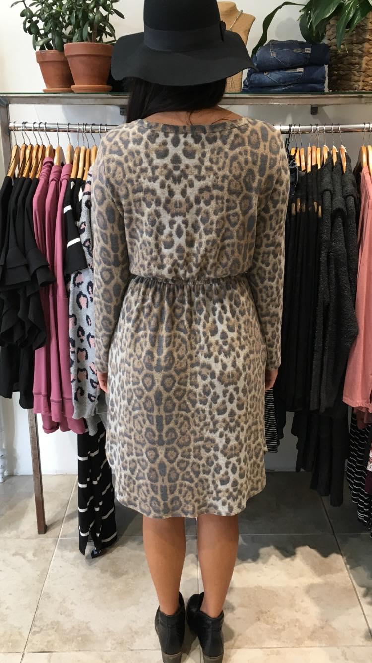 Vera Long Sleeve Dress Brown