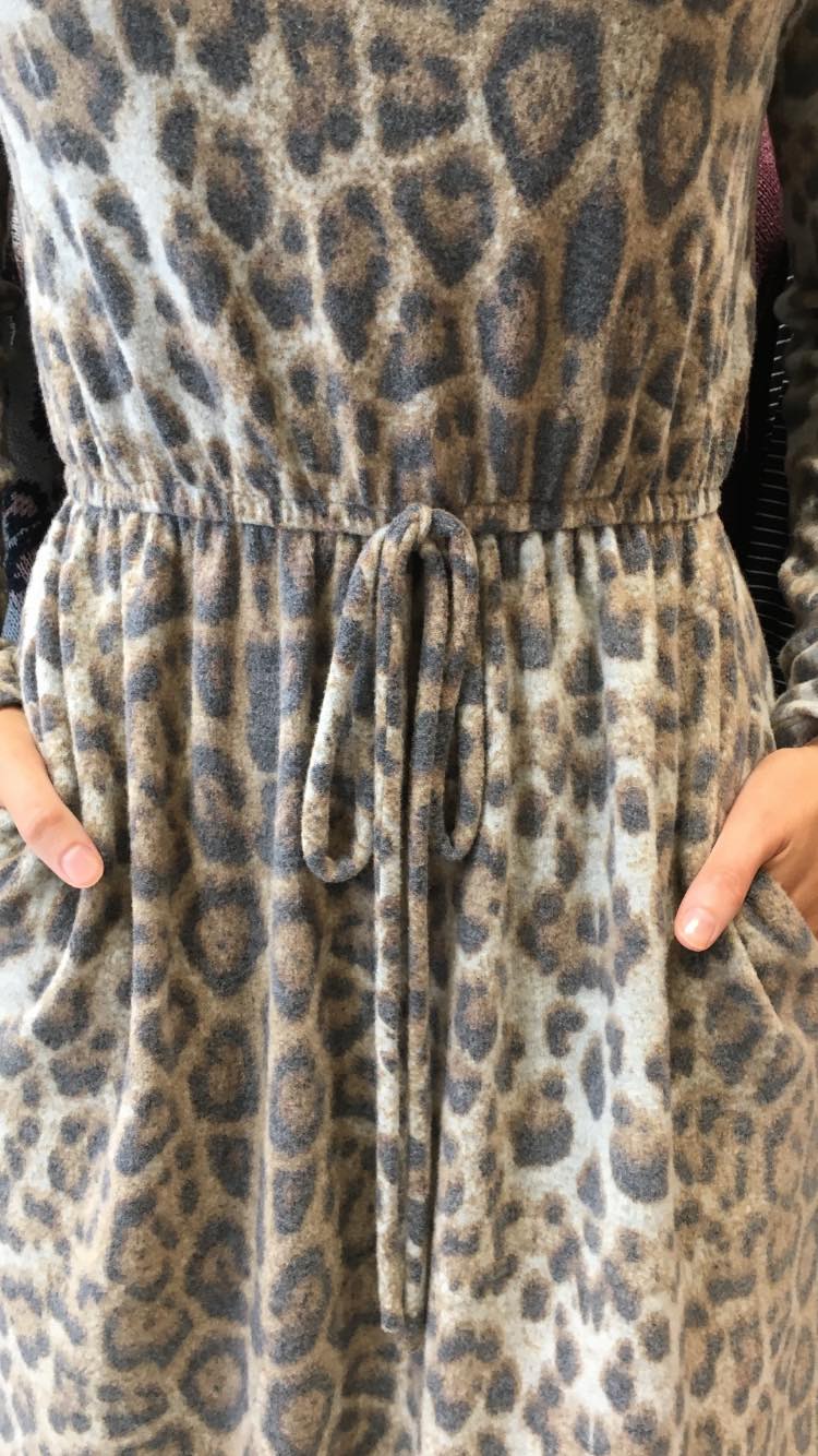 Vera Long Sleeve Dress Brown