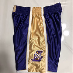 LeBron Bryant Los Angeles Lakers Purple MN