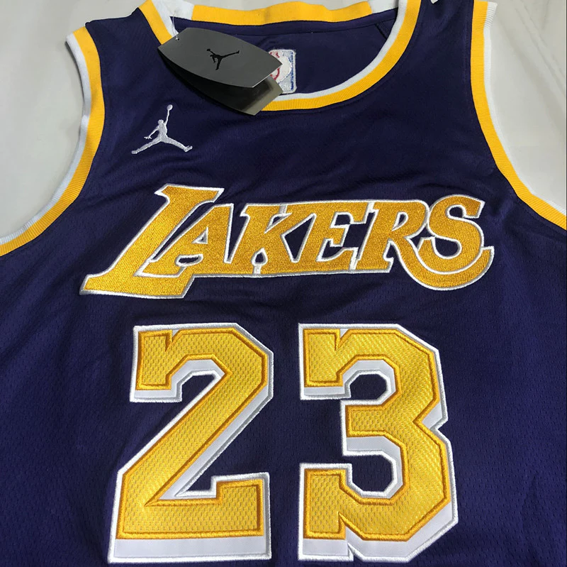 LeBron James Los Angeles Lakers  Purple 23 MN