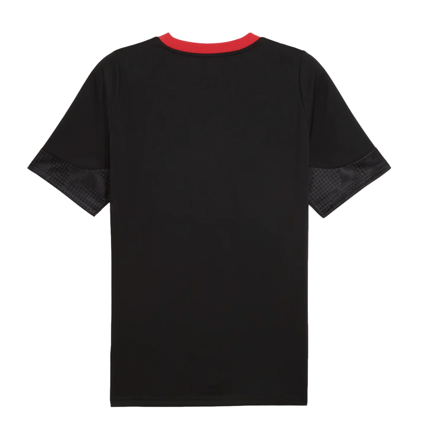 Puma AC Milan Training Jersey