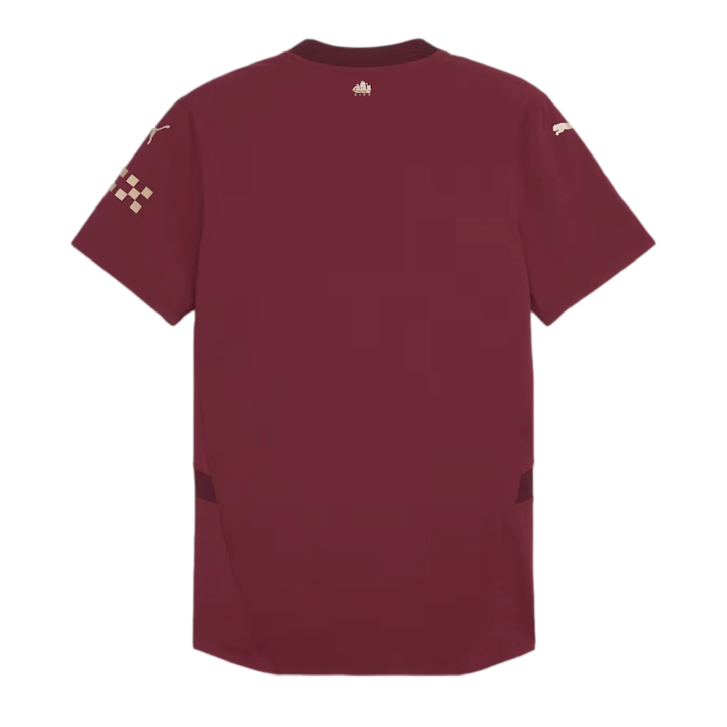 Puma Manchester City 24/25 Authentic Third Jersey