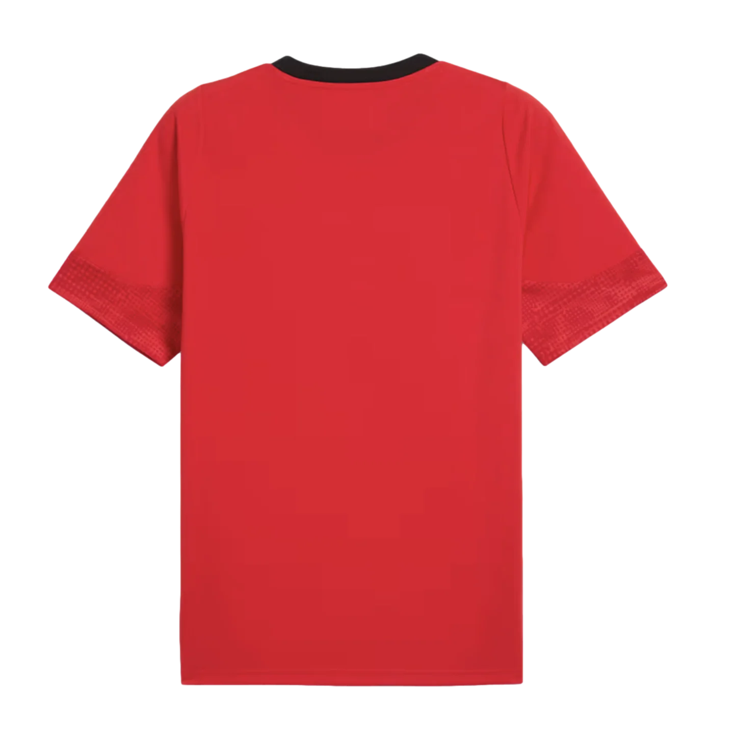 Puma AC Milan Training Jersey