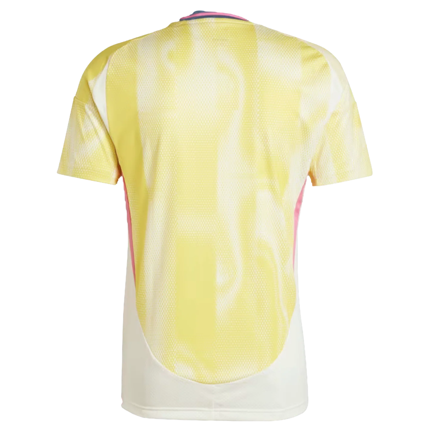 Adidas Juventus 24/25 Away Jersey