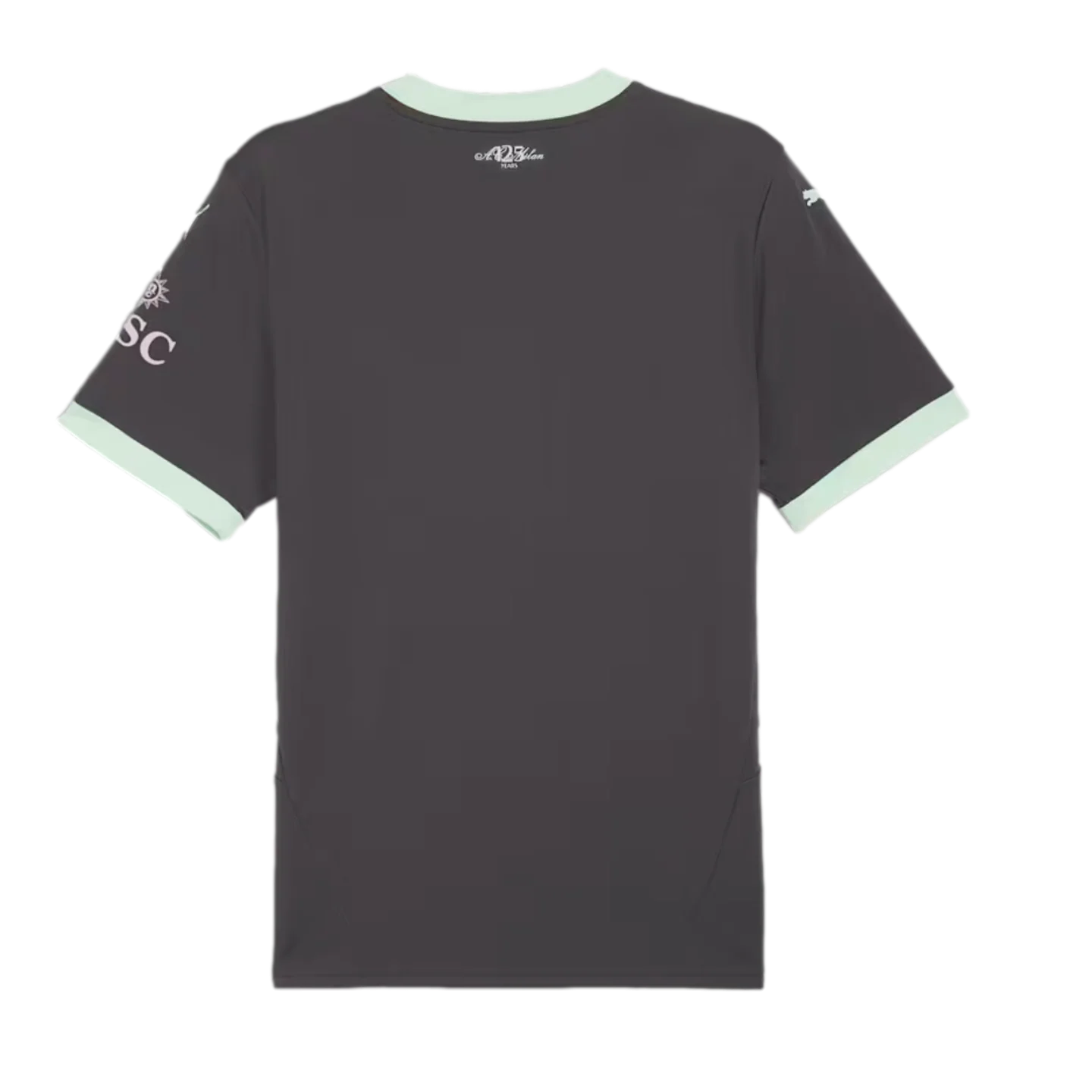 Puma AC Milan 24/25 Third Jersey