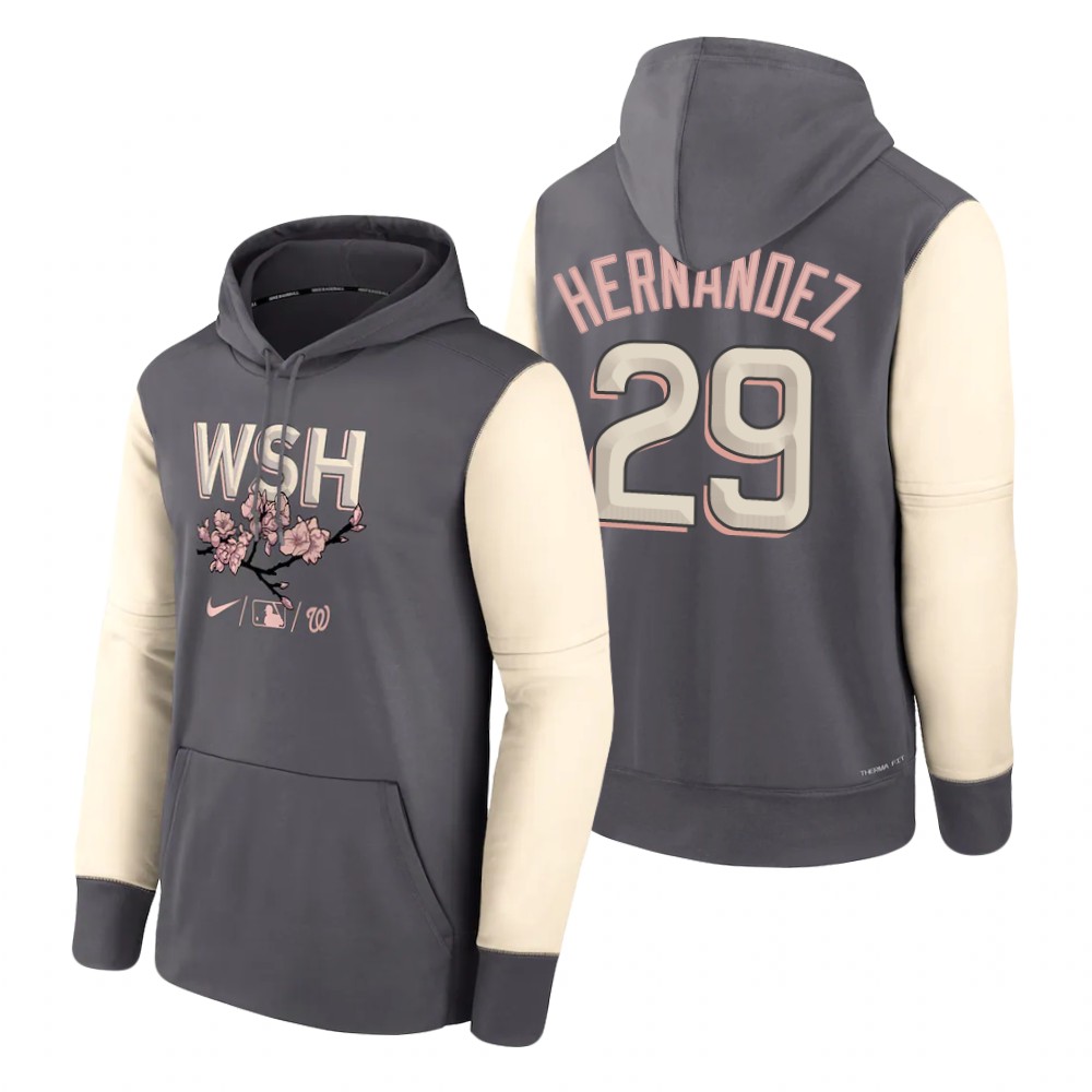 Washington Nationals #29 Yadiel Hernandez 2022 City Connect Gray Hoodie cheap jerseys for sale - CheapJerseys.Shop