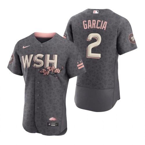Washington Washington Nationals #2 Luis Garcia Men's Authentic Gray 2022 City Connect Jersey Men's cheap jerseys for sale - CheapJerseys.Shop