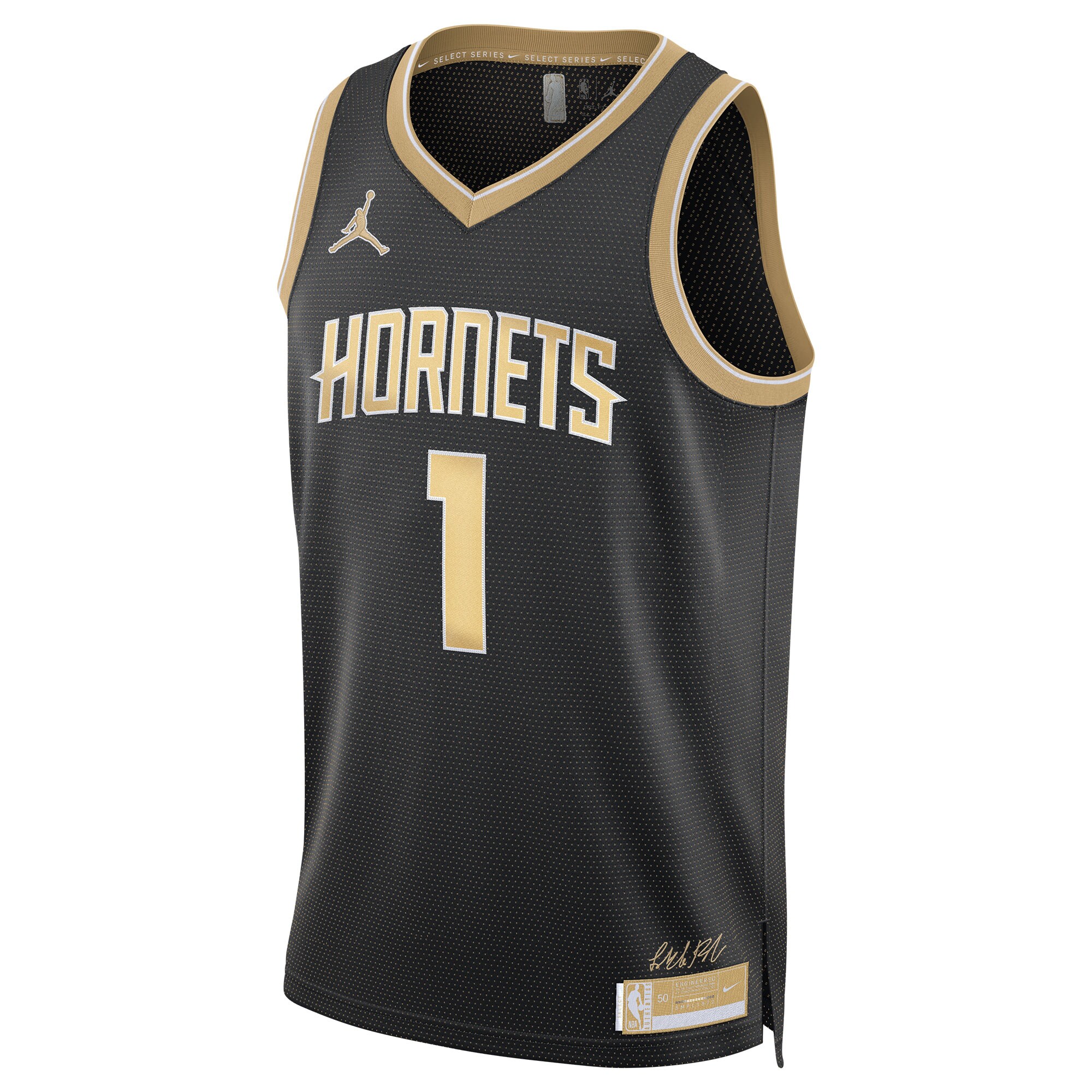 LaMelo Ball Charlotte Hornets Jordan Brand Unisex Select Series Swingman Jersey\u00c2\u00a0\u00e2\u20ac\u201c Black cheap jerseys for sale - CheapJerseys.Shop