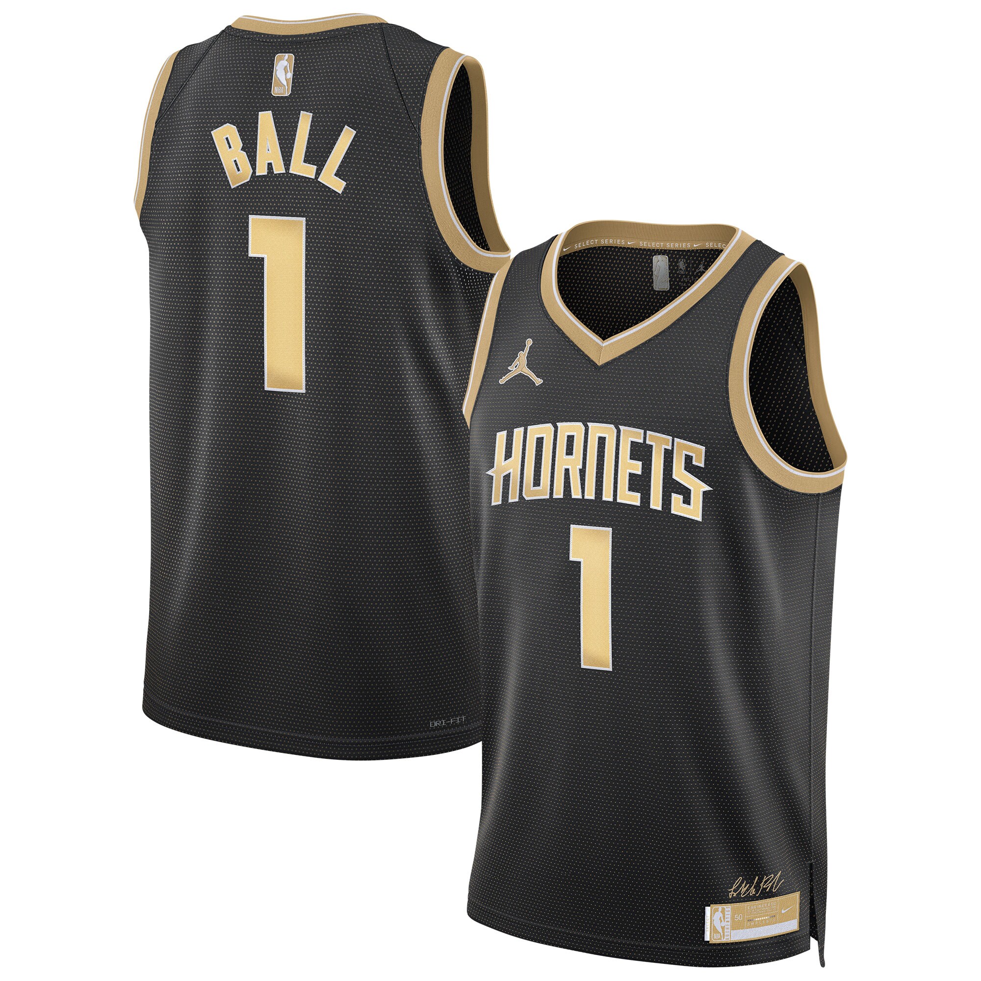 LaMelo Ball Charlotte Hornets Jordan Brand Unisex Select Series Swingman Jersey\u00c2\u00a0\u00e2\u20ac\u201c Black cheap jerseys for sale - CheapJerseys.Shop