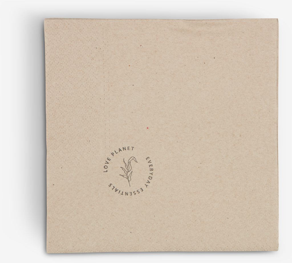 Paper napkins THOR 33x33cm pack of 20