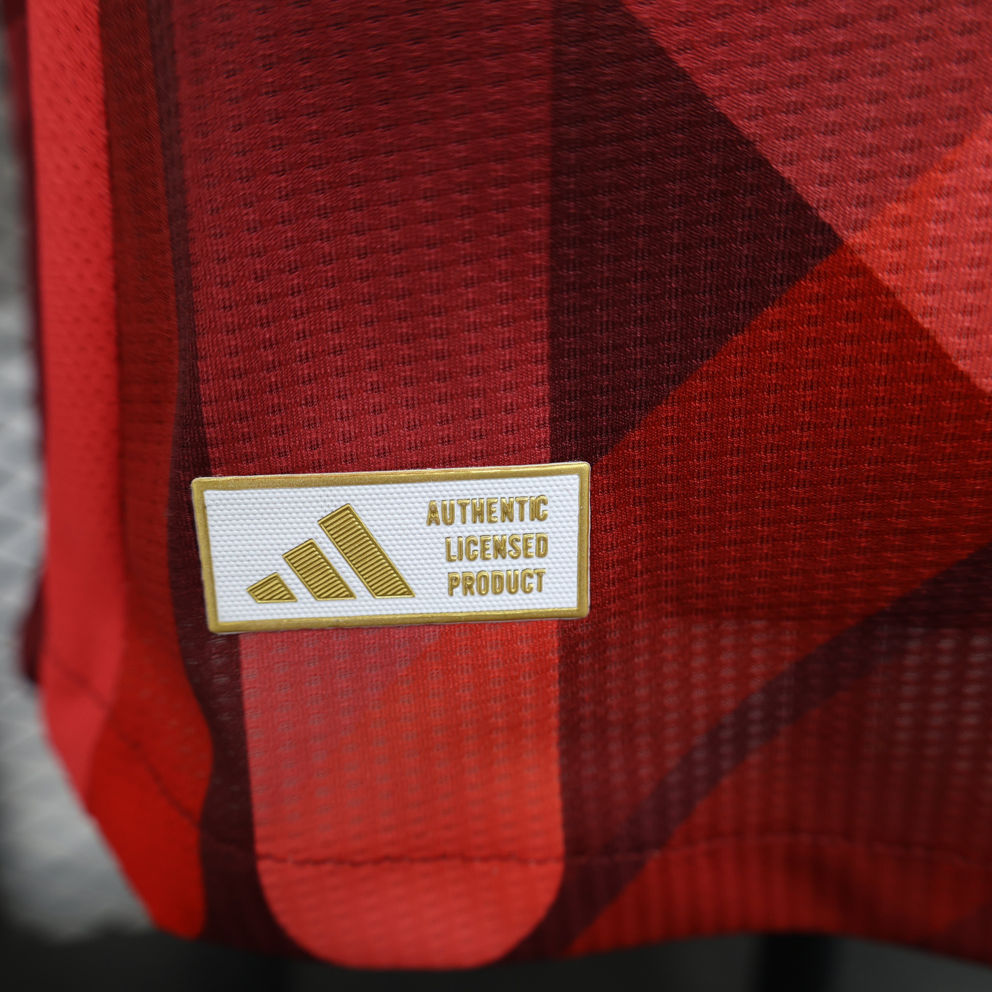 2024 Player Version Germany red Football Shirt