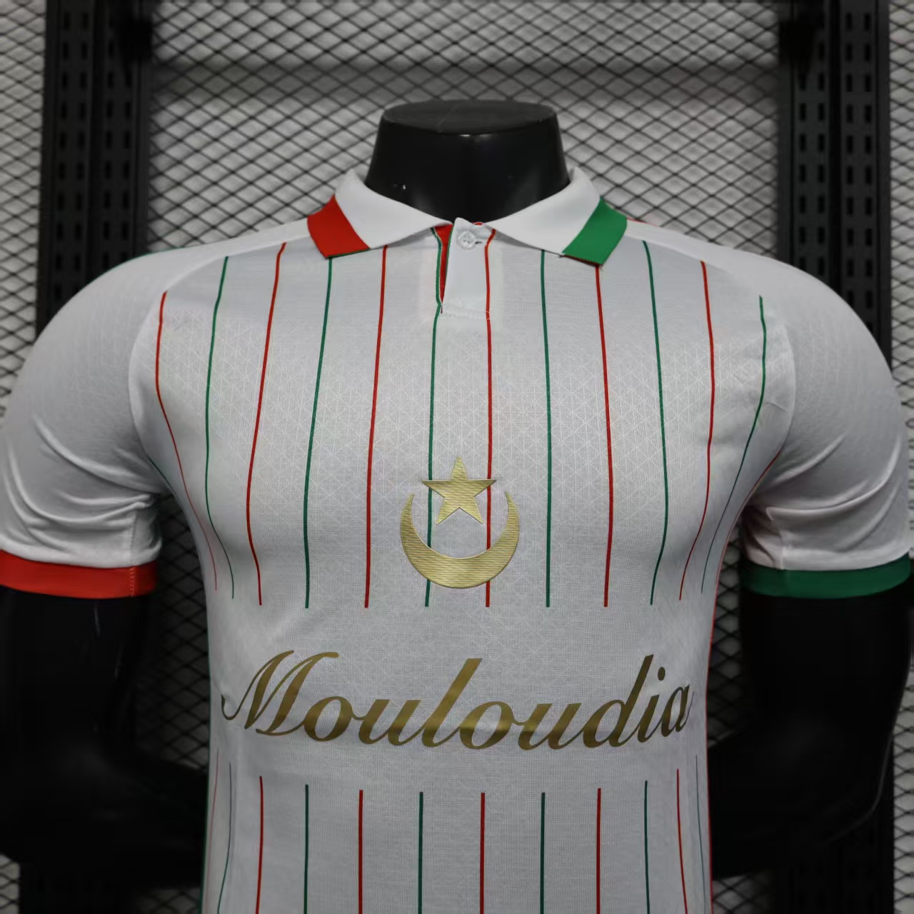 2025/2026 Player Version  Palestino  Football Shirt 1:1 Thai Quality