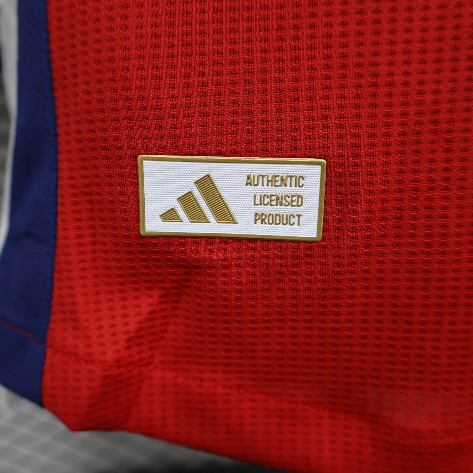 2024/2025 Player Version Arsenal Home Football Shirt