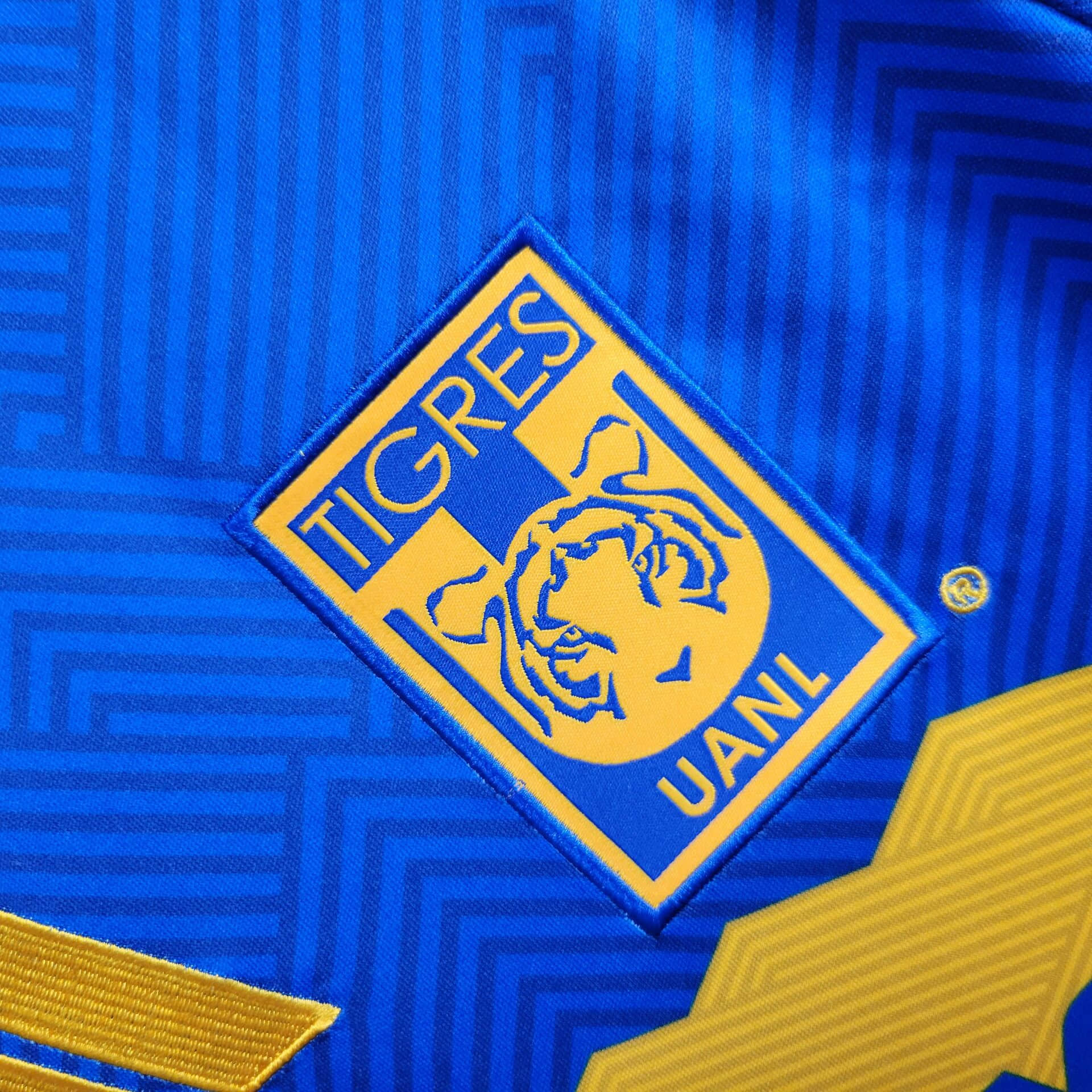 2024/2025 Tigres UANL Away Football Shirt