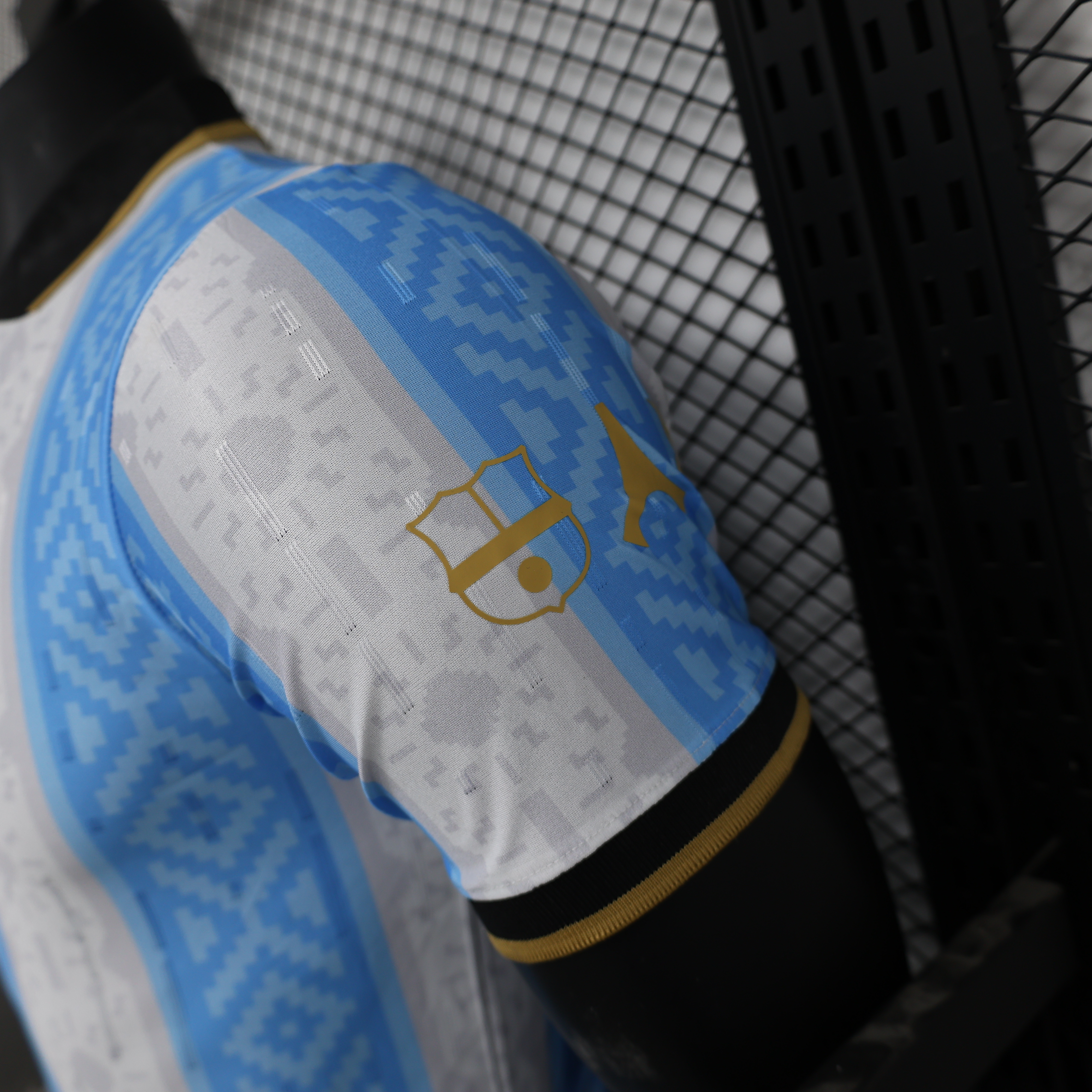 2024 Argentina Special Edition Football Jersey