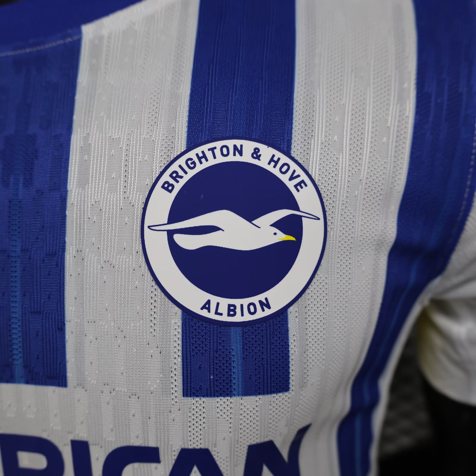 2024/2025 Player Version Brighton Home Football Shirt