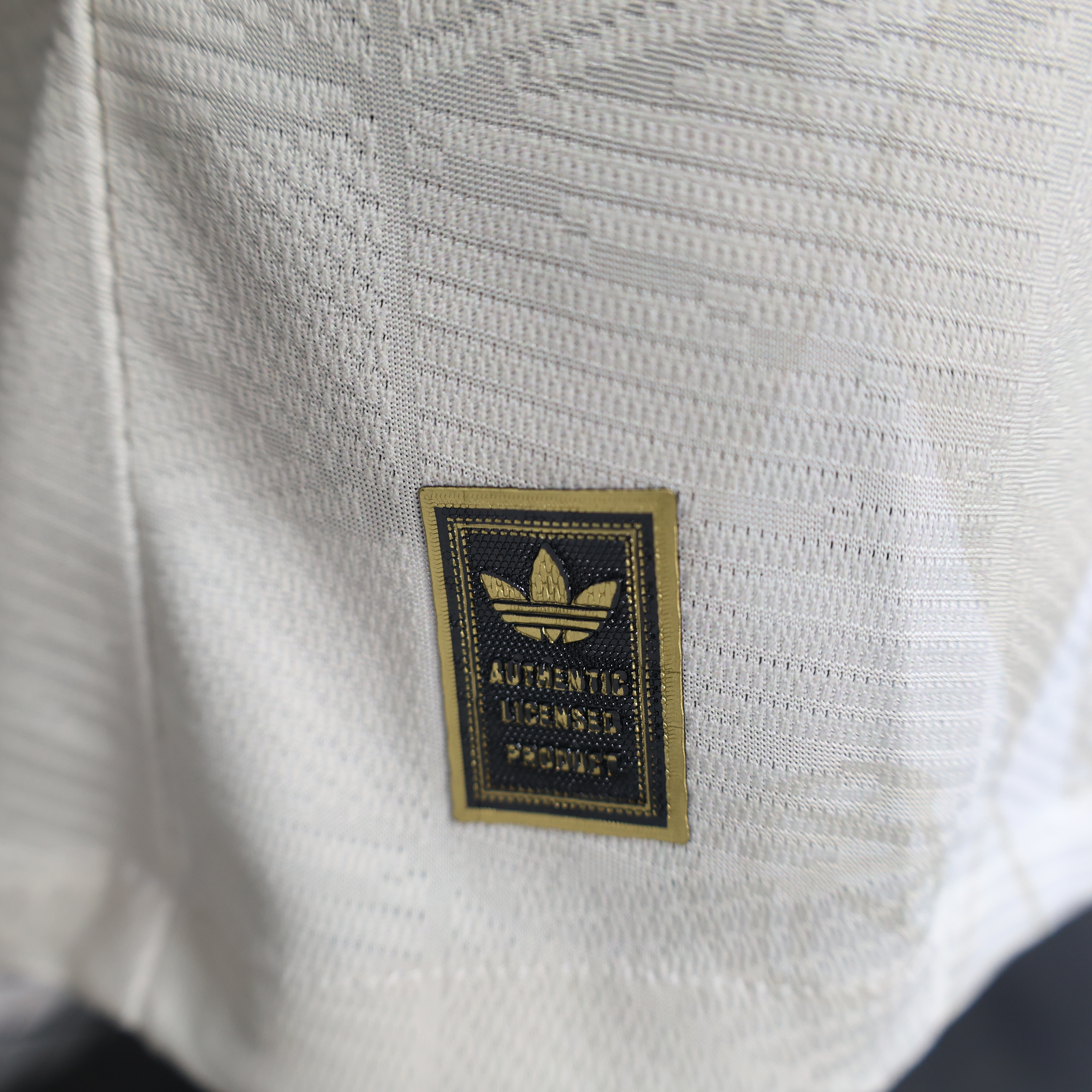 2025/2026 Player Version Bayern Munchen Special Edition Football Shirt