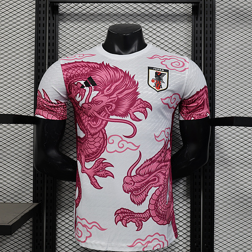 2024/2025 Player Version Japan Special Edition Football Shirt