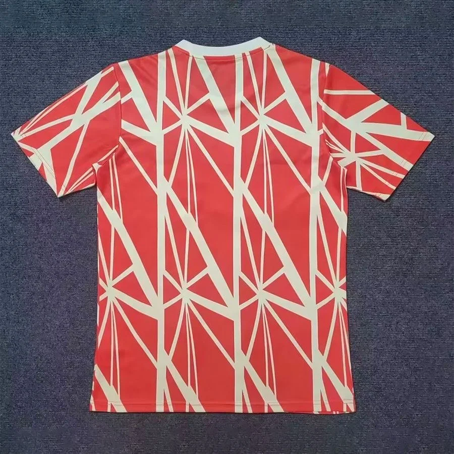 2024/2025 Bayern Munchen Training Wear Football Shirt