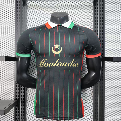2025/2026 Player Version  Palestino  Football Shirt 1:1 Thai Quality