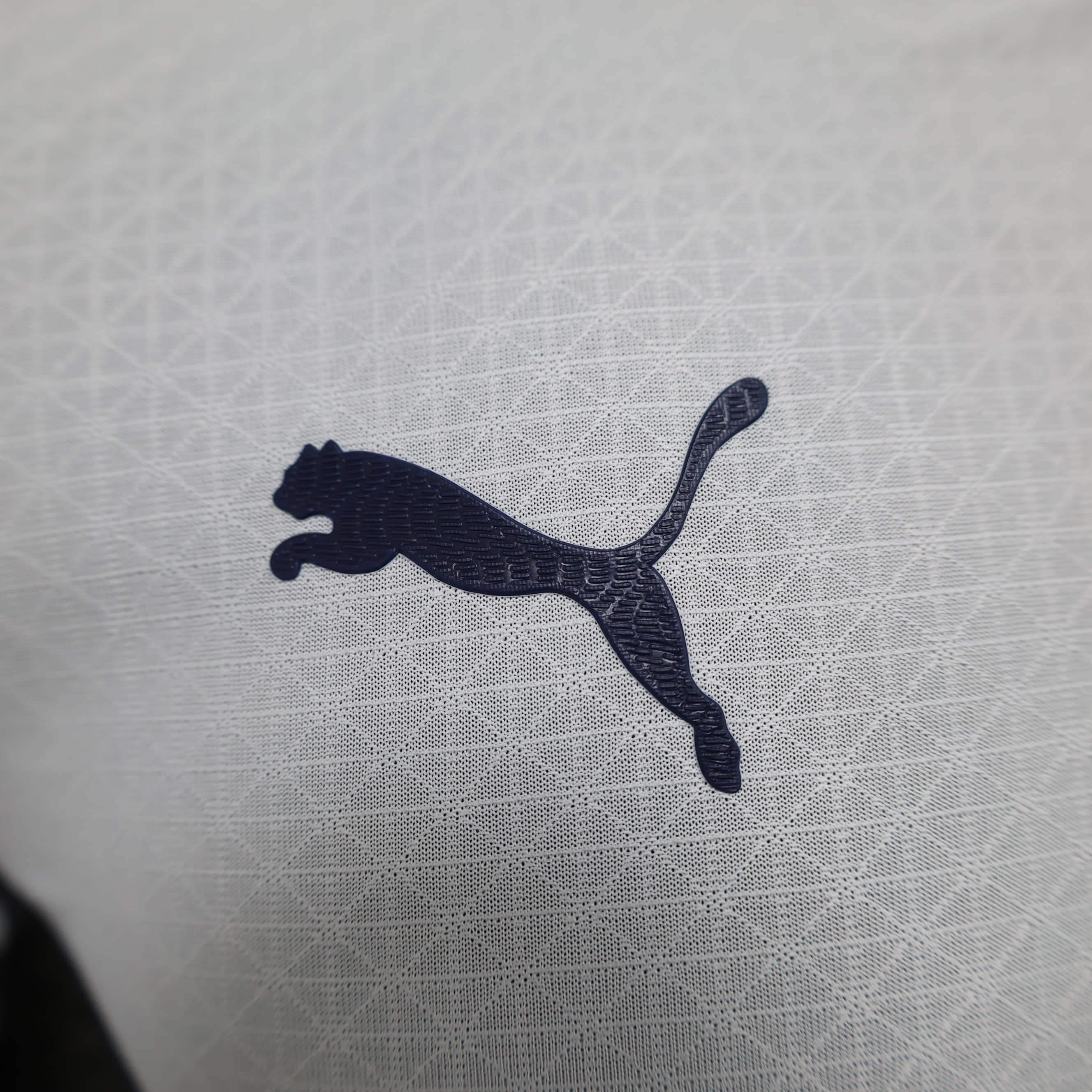 2024/2025 Player Version Chivas de Guadalajara Away Football Shirt