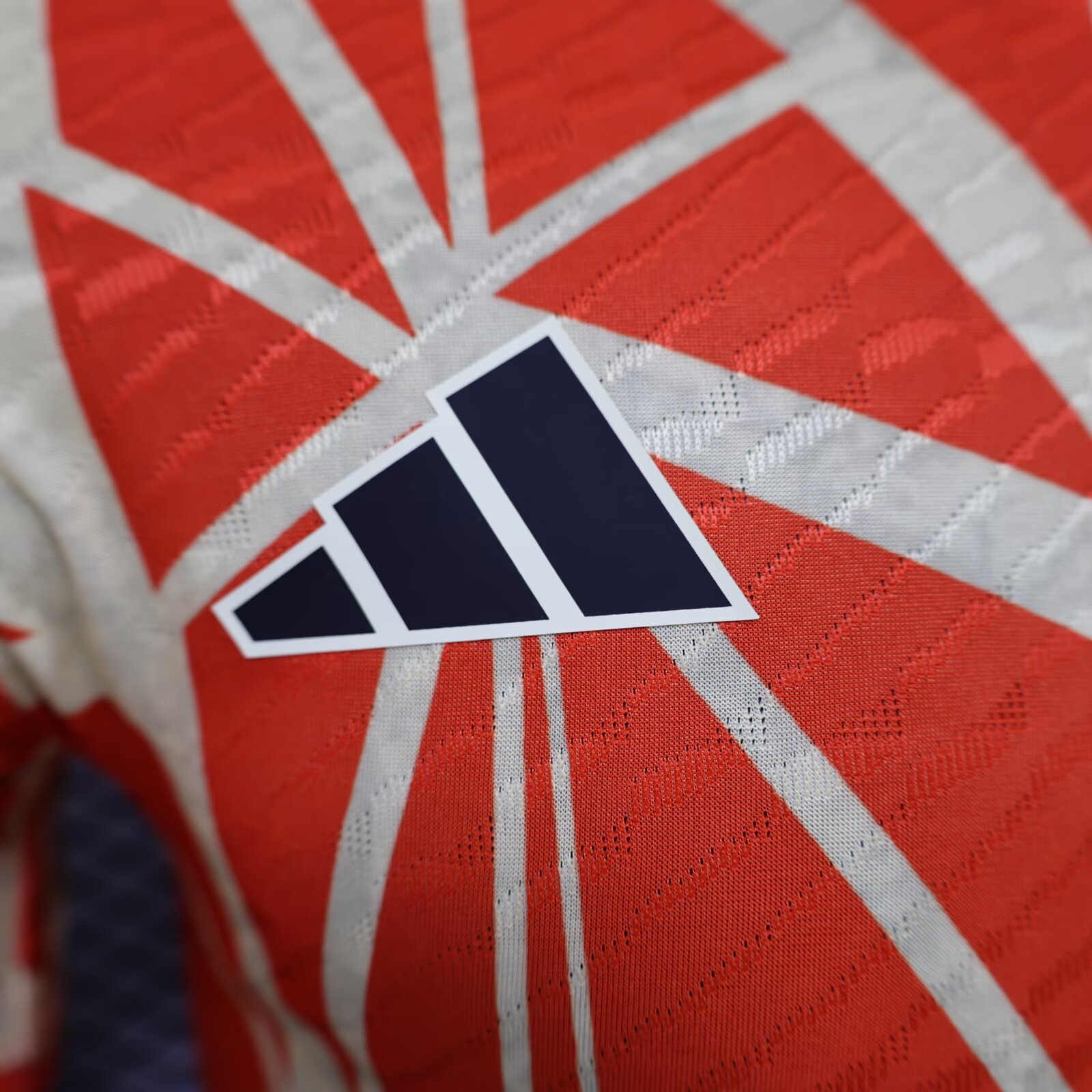 2024/2025 Player Version Bayern Munchen Pre-Match Home Football Shirt