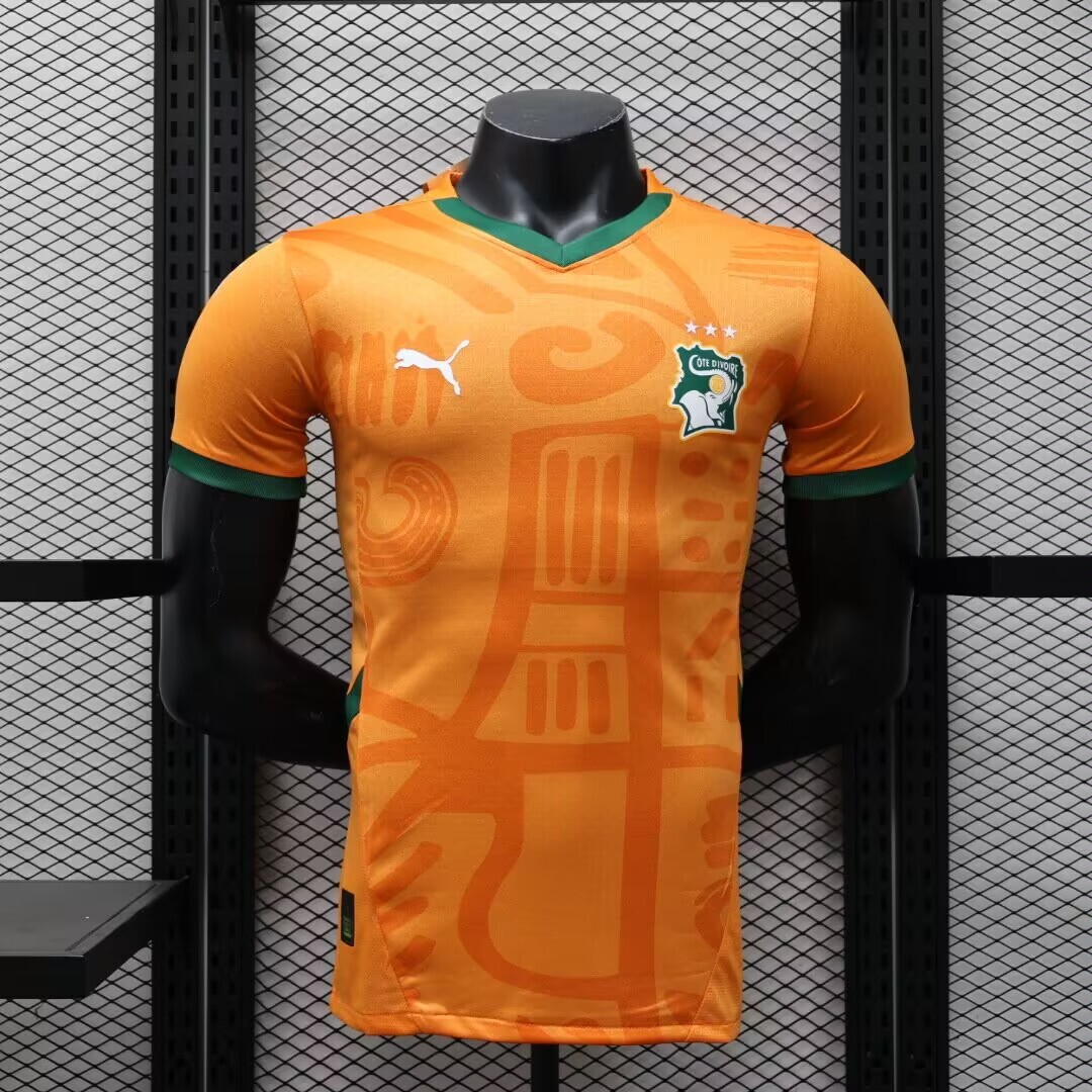 2024 Player Version Ivory Coast Home Football Shirt