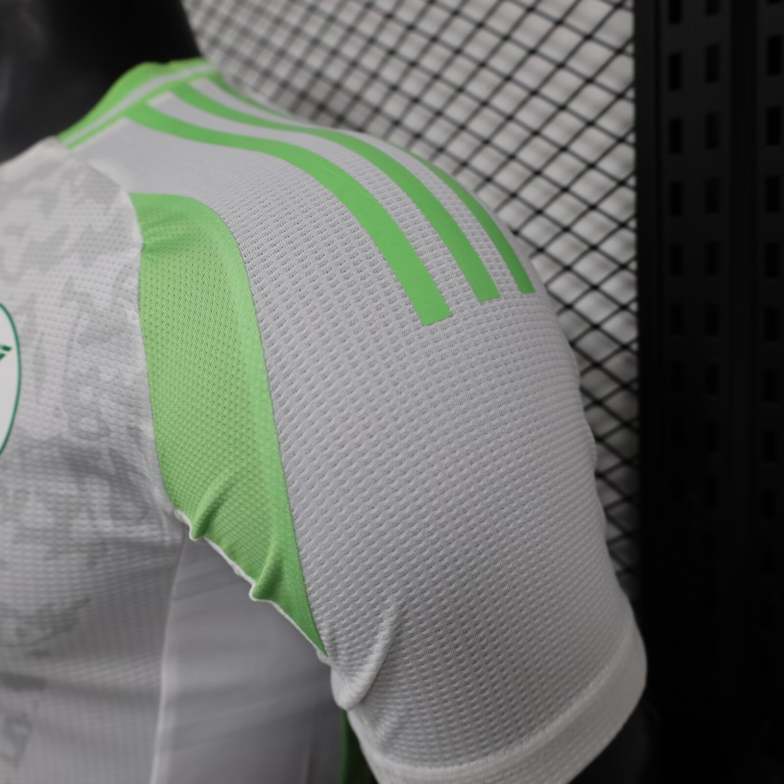 2024/2025 Player Version Algeria Home Football Shirt