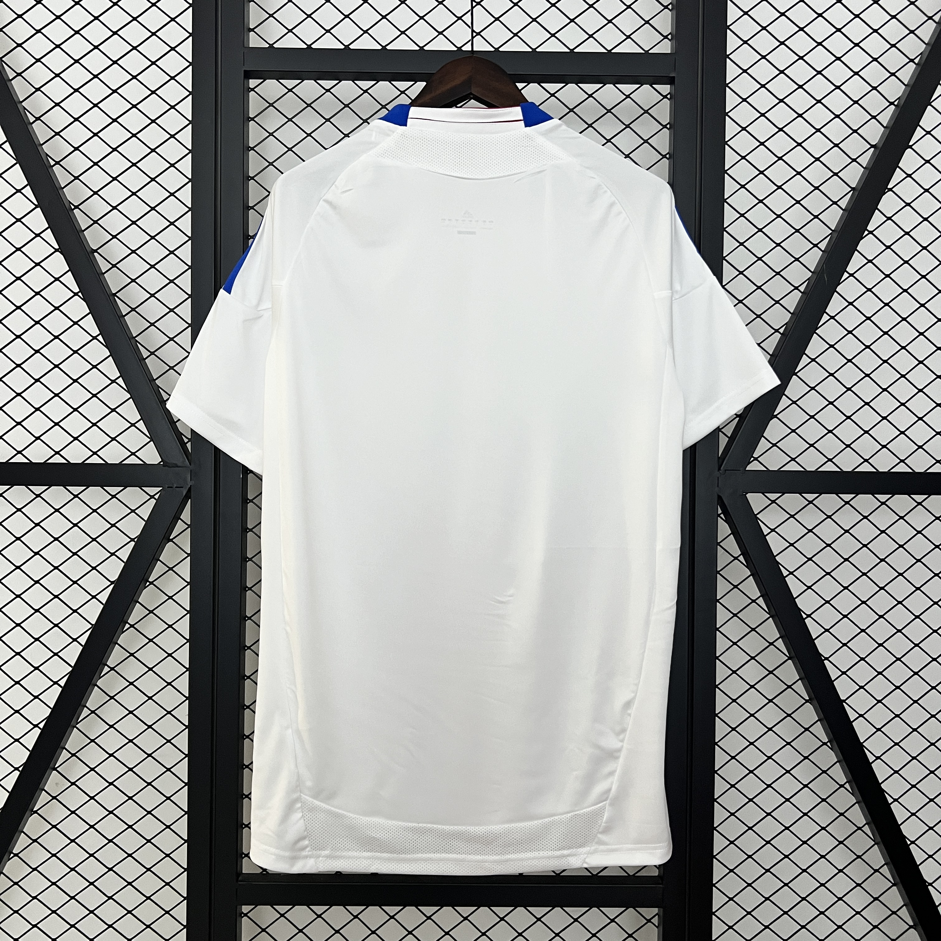 2010/2011 Retro Lyon Home FootballShirt 1:1 Thai Quality!