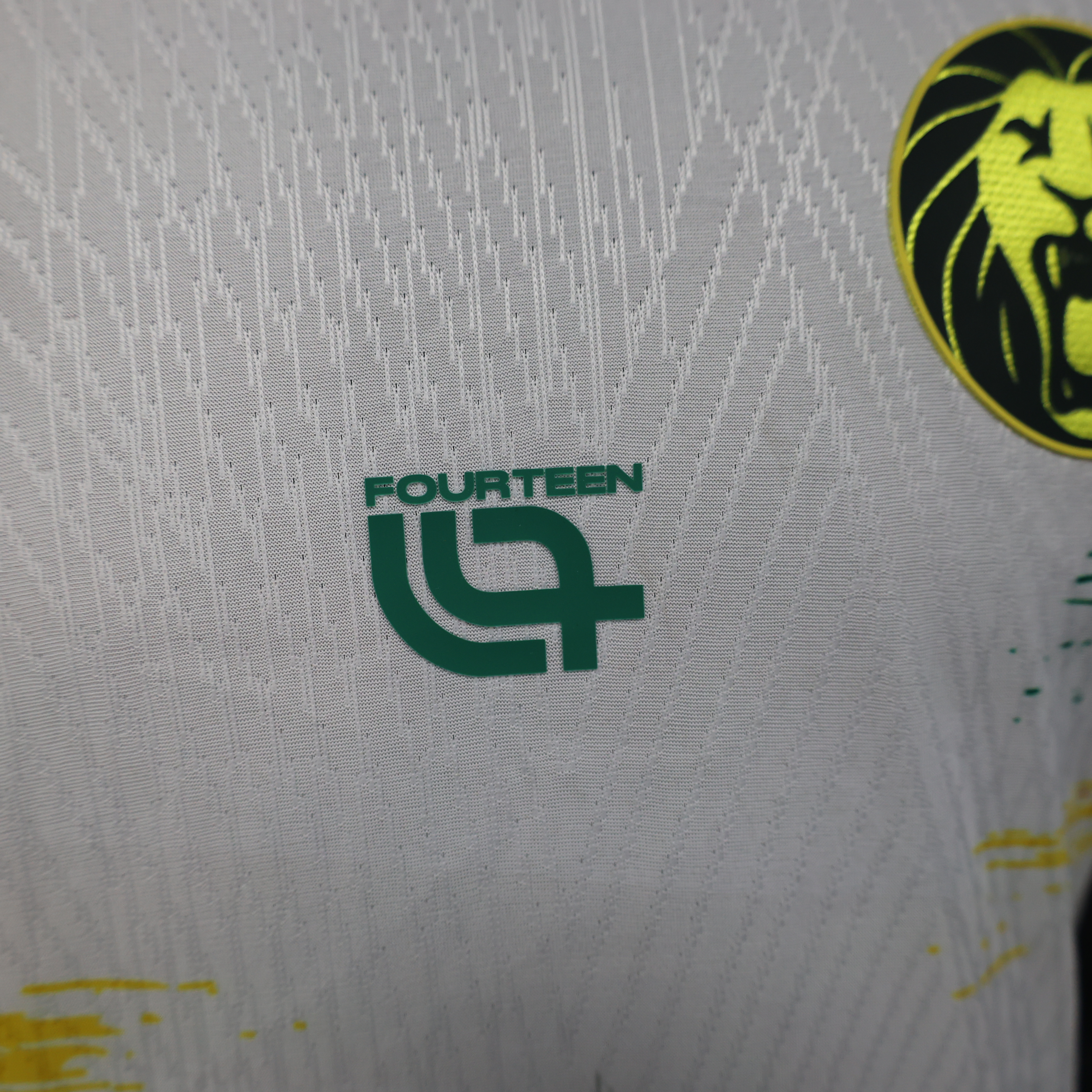 2025/2026 Player Version Cameroon  Football Shirt