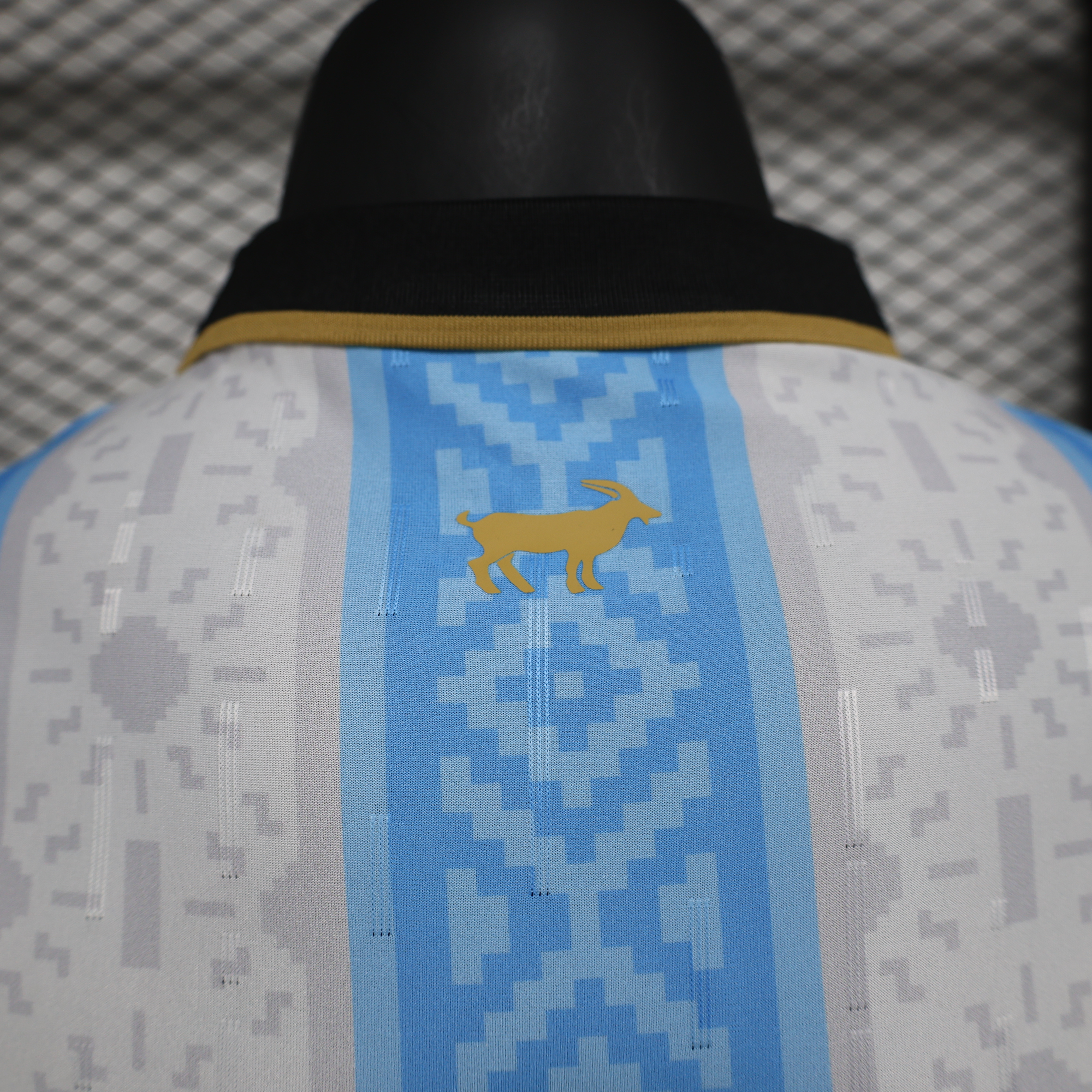 2024 Argentina Special Edition Football Jersey