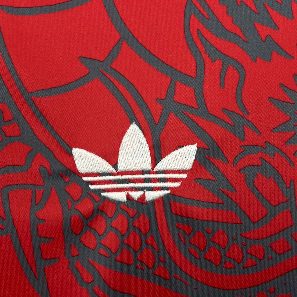 2024/2025 Real Madrid Special Edition Football Shirt