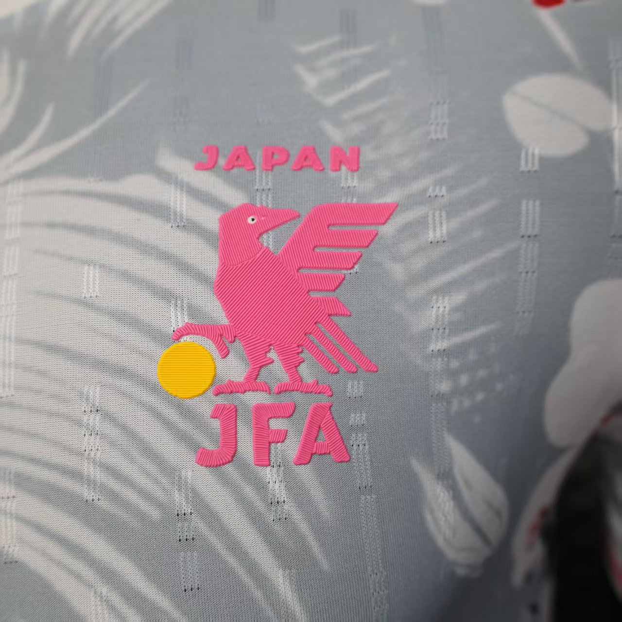 2024 Player Version JapanSpecial Edition Football shirt