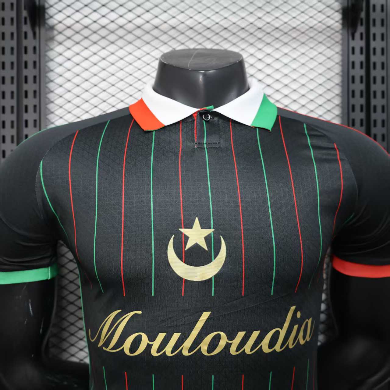 2025/2026 Player Version  Palestino  Football Shirt 1:1 Thai Quality