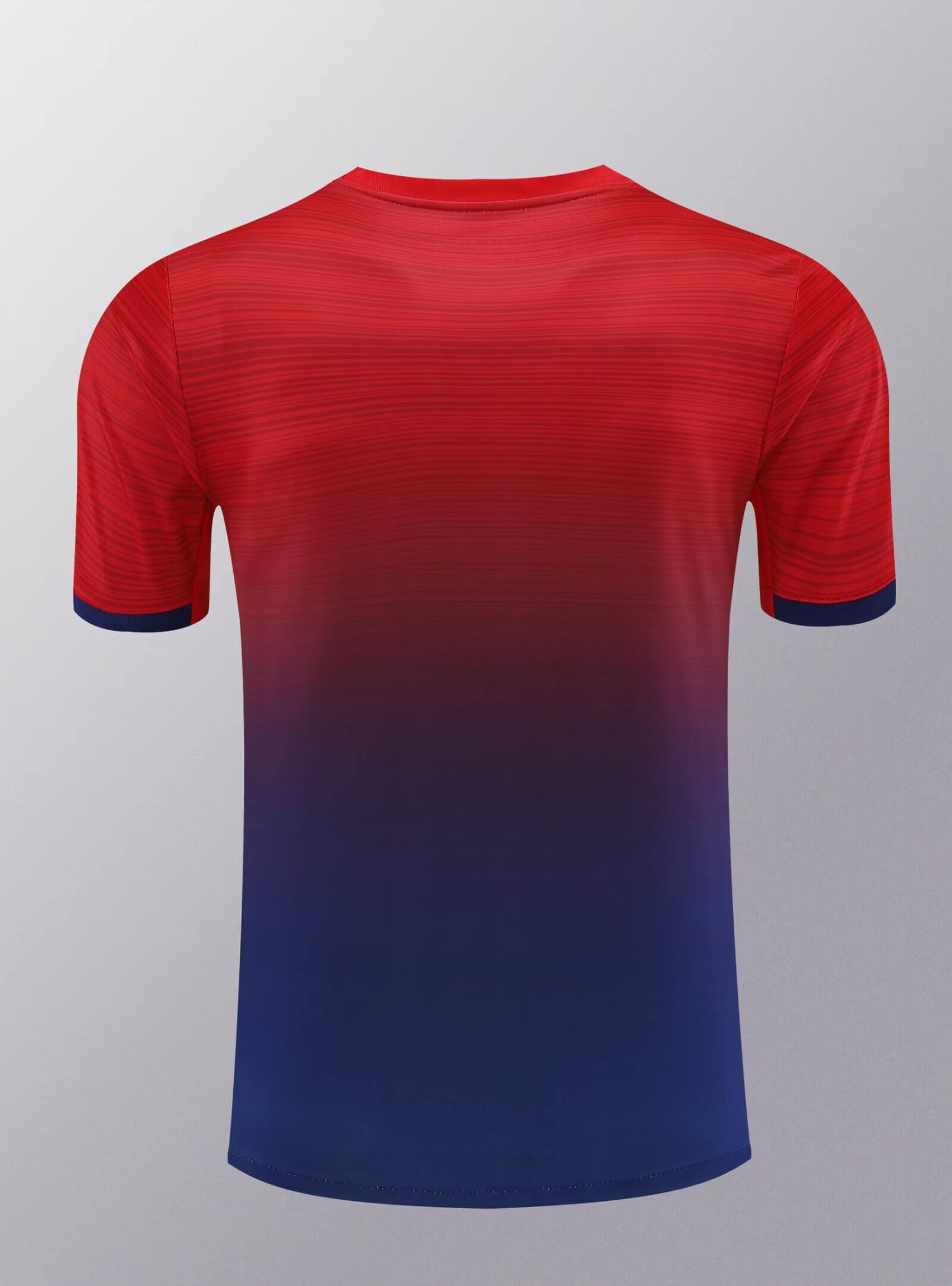 2024/2025 Paris Saint-Germain Training Wear Suit Shirt