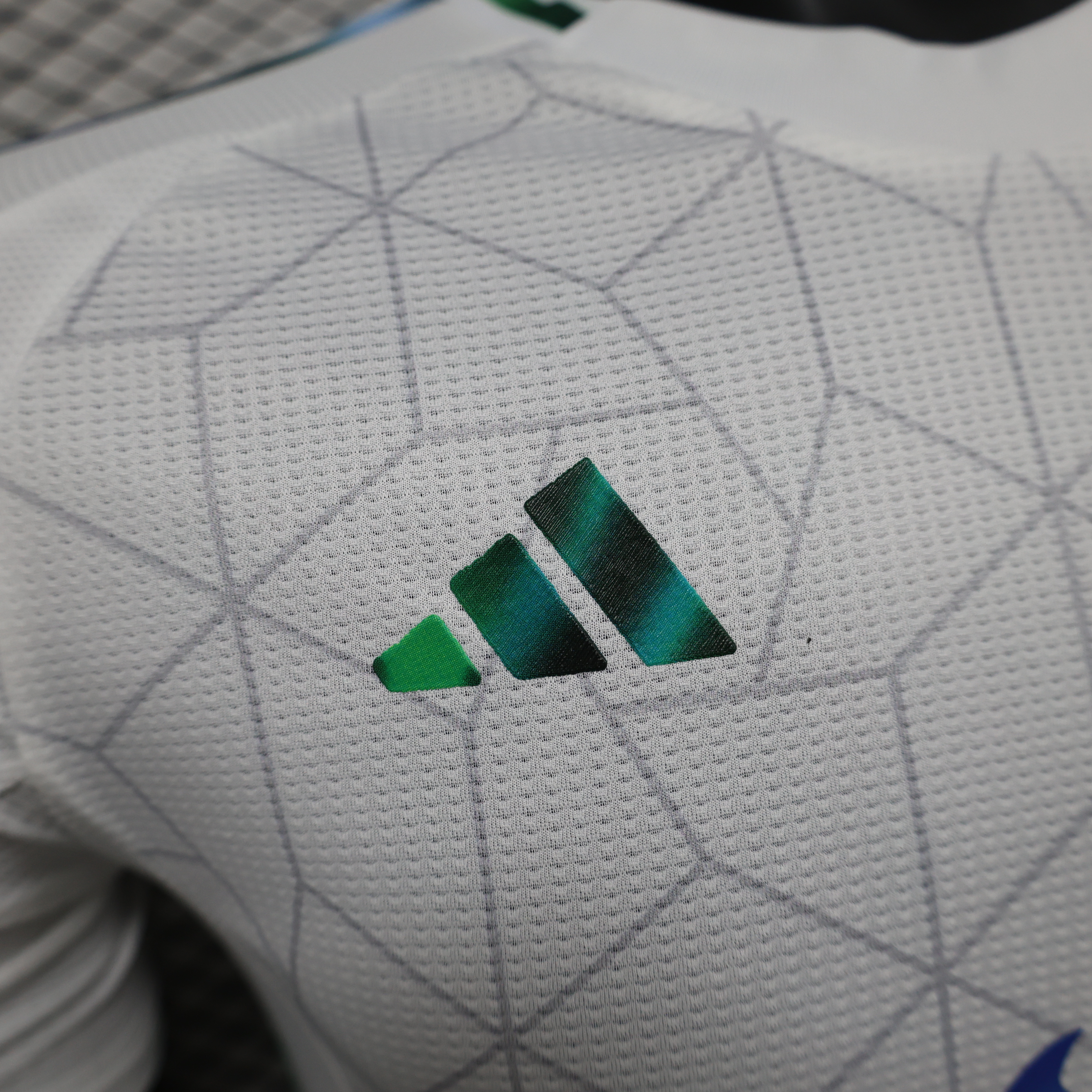 2024/2025 Authentic Algeria Special Edition Football Shirt
