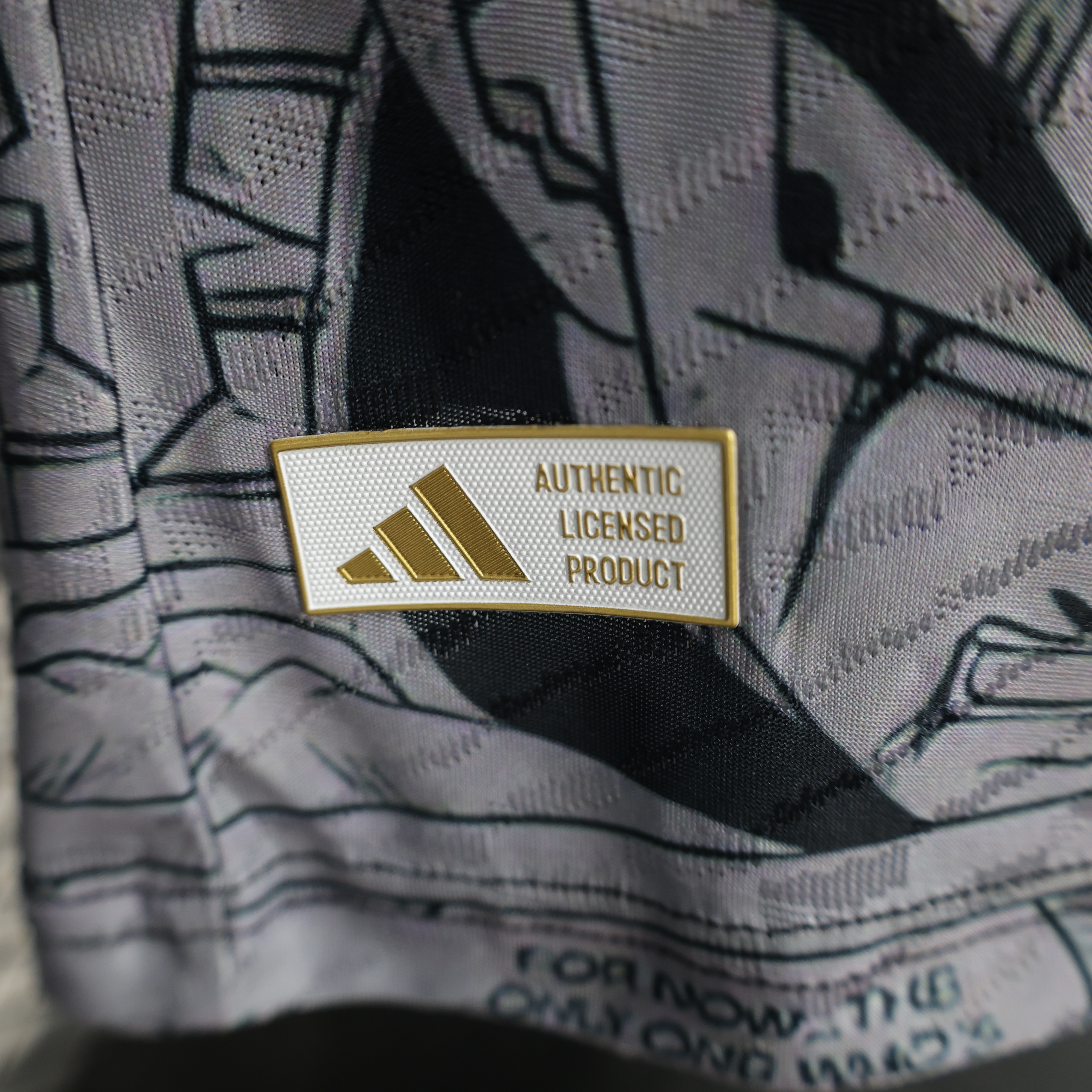 2024/2025 Player Version Japan Special Edition Football Shirt