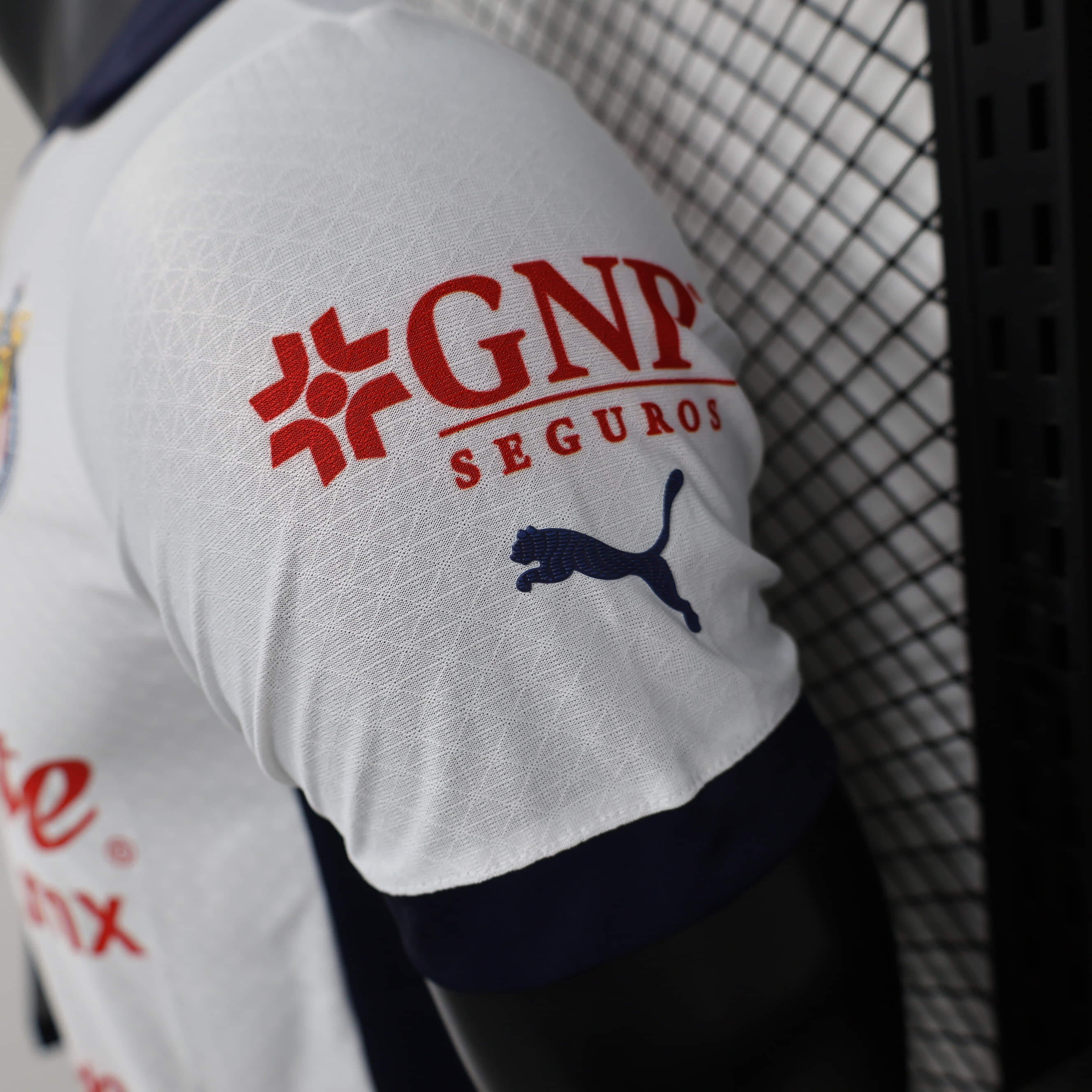 2024/2025 Player Version Chivas de Guadalajara Away Football Shirt