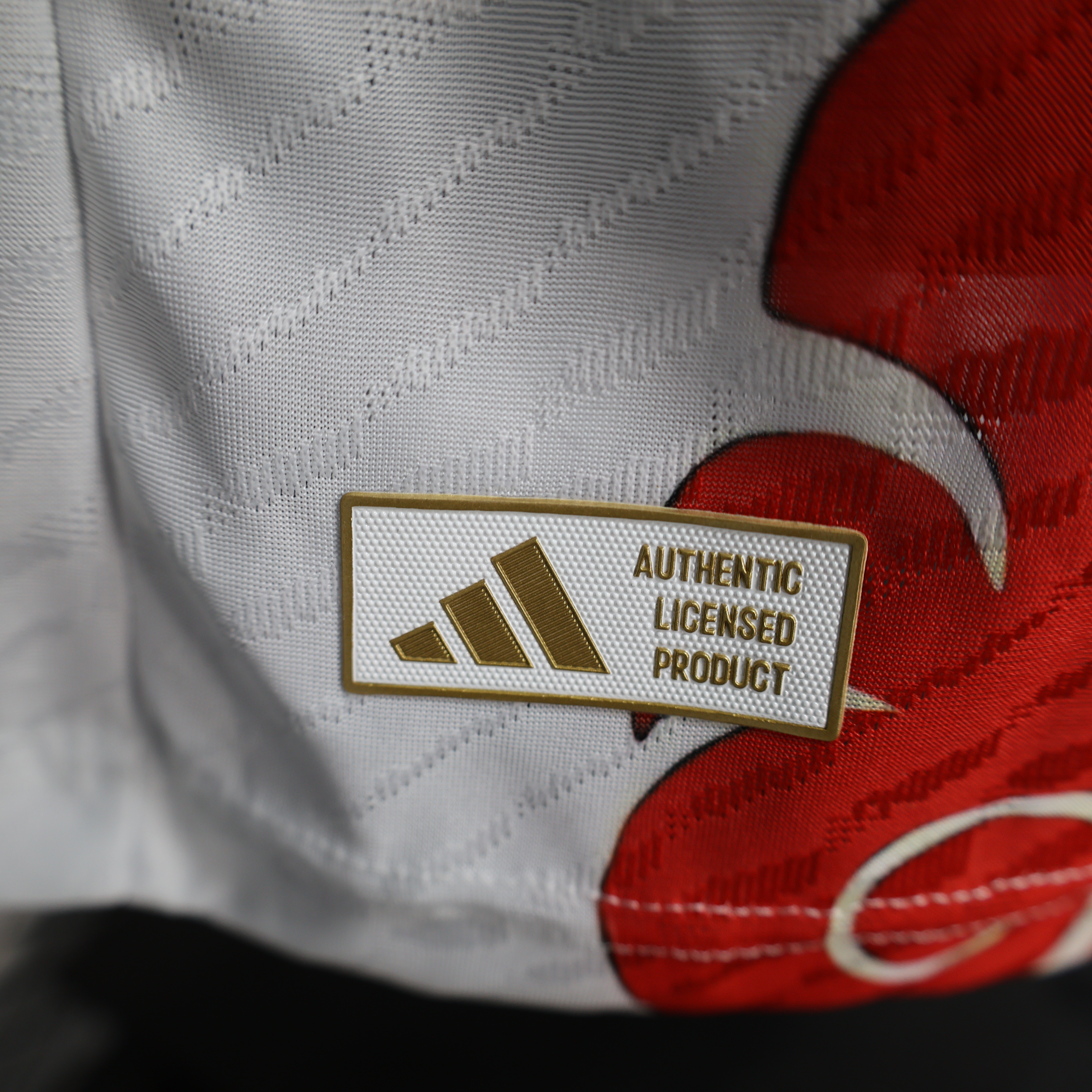 2024/2025 Player Version Japan Special Edition Football Shirt