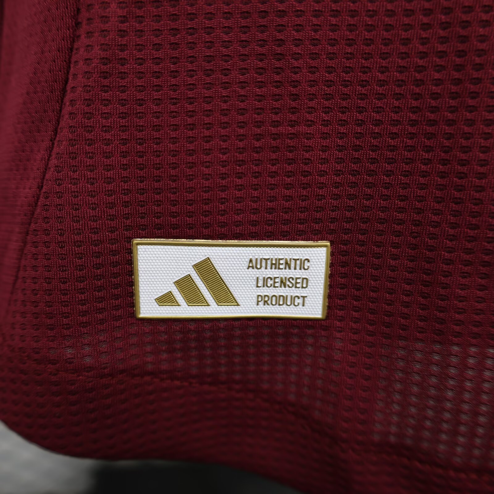 2024/2025 Player Version Aston Villa Home Football Shirt