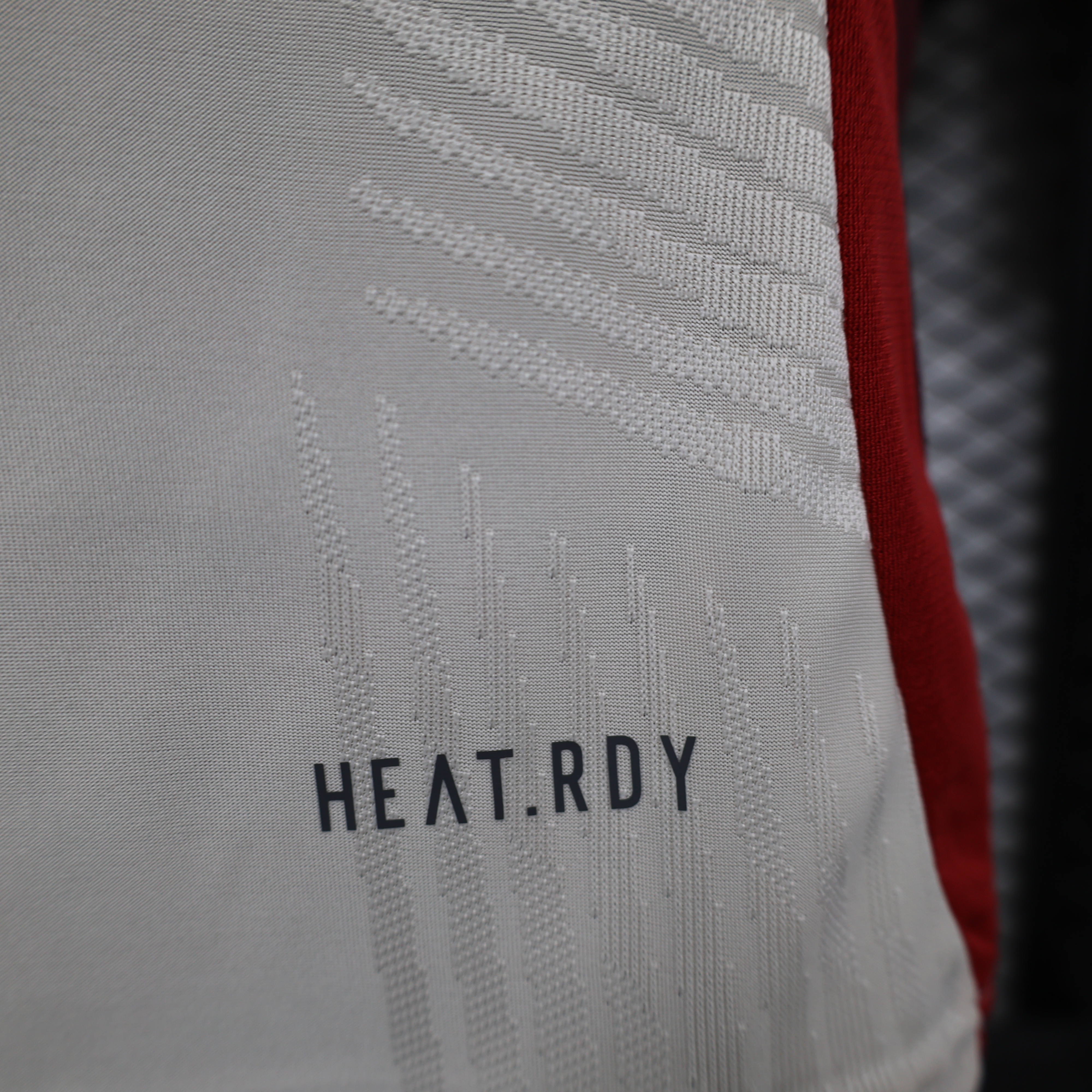 2024/2025 Player Version Bayern Munchen Special Edition Football Shirt