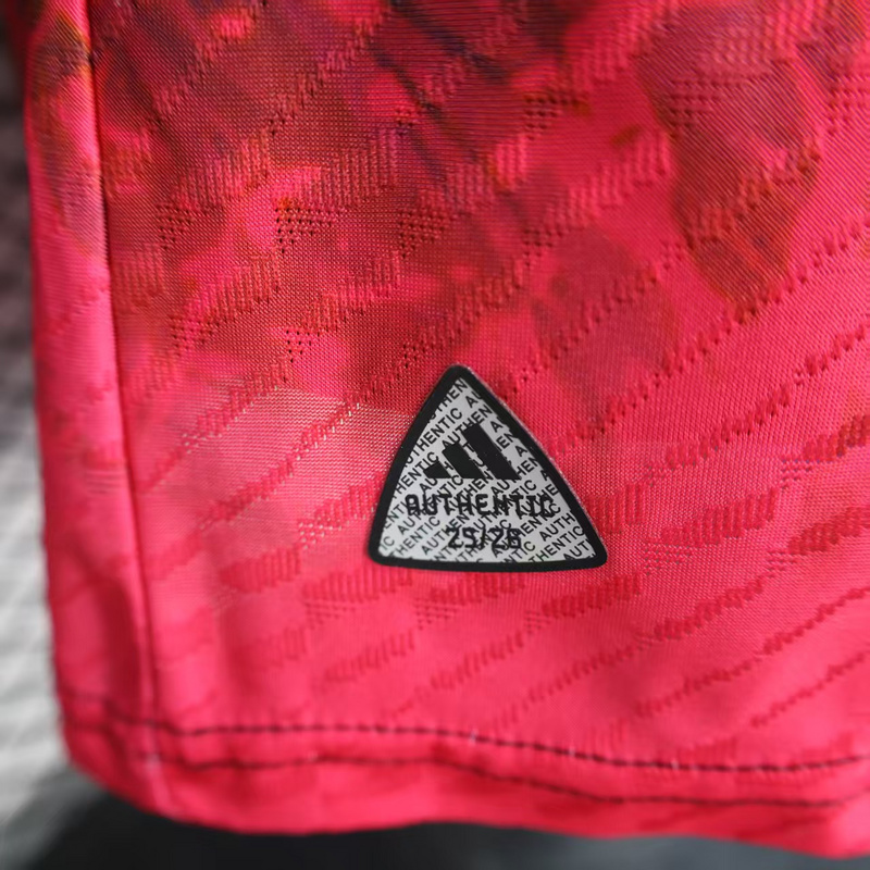 2024/2025 Player Version Japan Special Edition Football Shirt