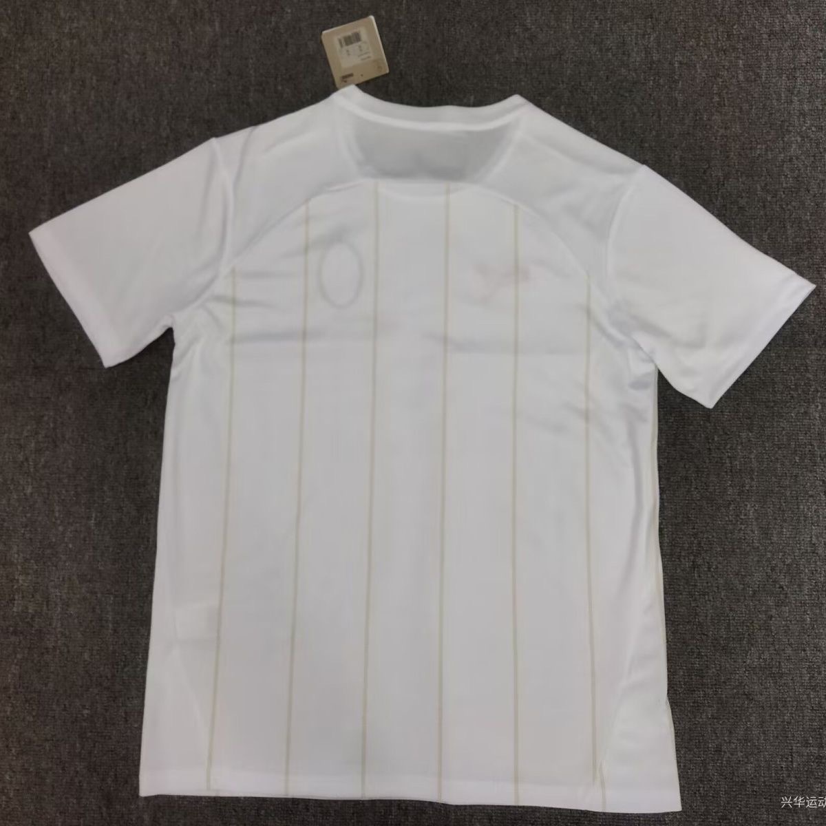 2024/2025 AC Milan Pre-Match Anniversary Football Shirt 1:1 Thai Quality