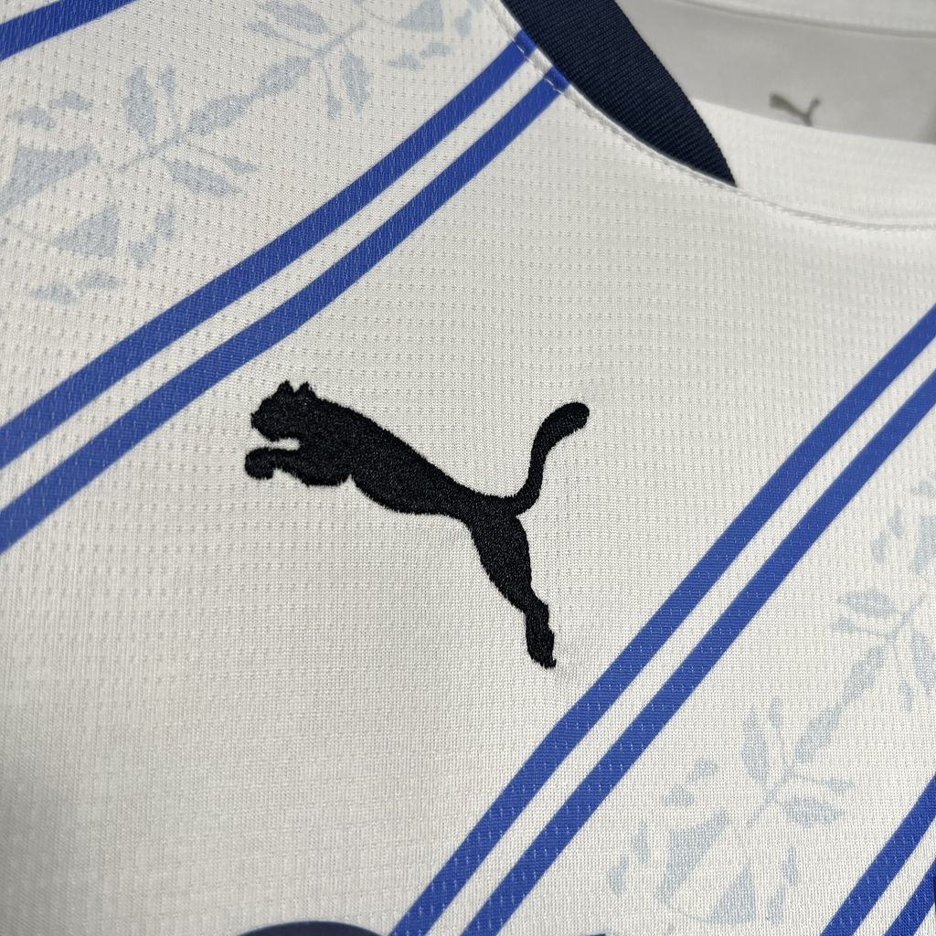 2024/2025 Fenerbahce Away Football Shirt