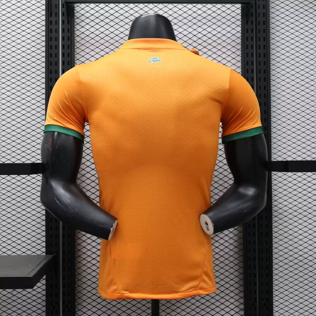 2024 Player Version Ivory Coast Home Football Shirt