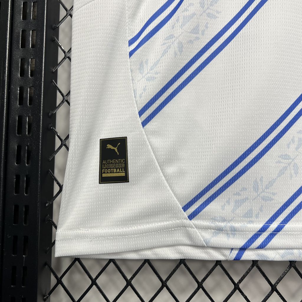 2024/2025 Fenerbahce Away Football Shirt