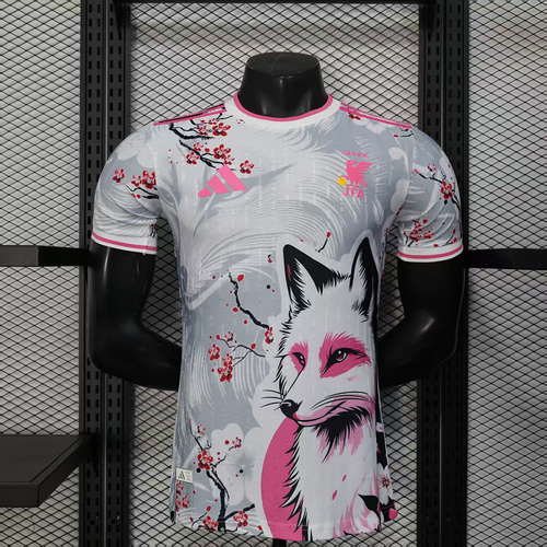 2024 Player Version JapanSpecial Edition Football shirt