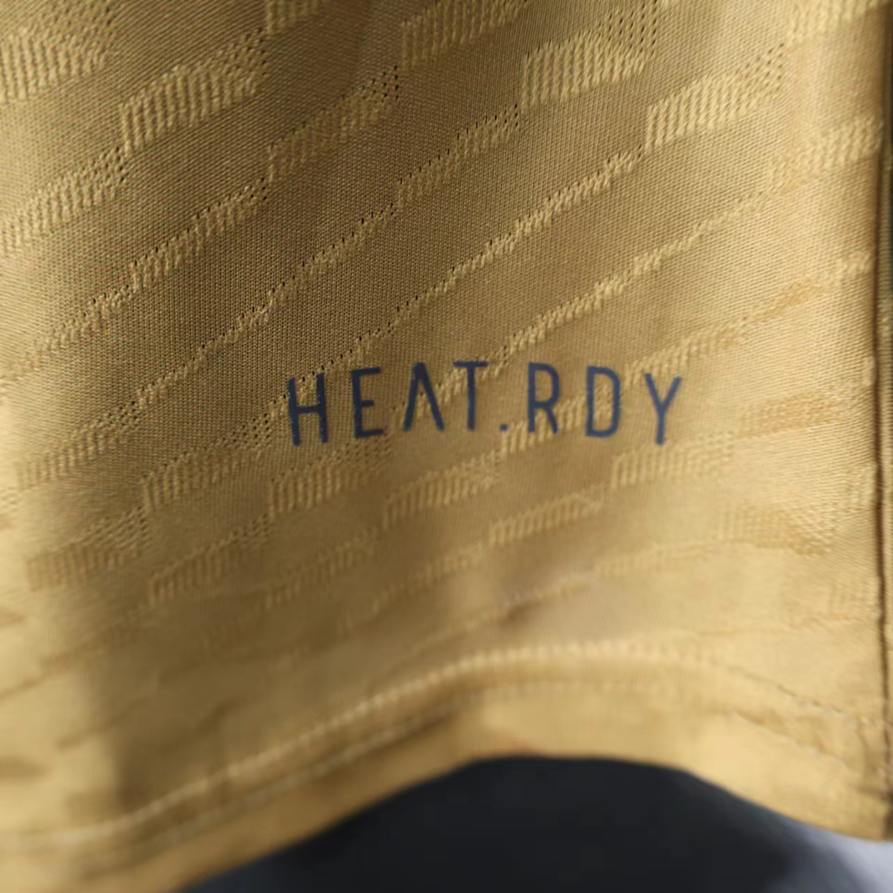 2024/2025 Real Madrid Special Edition Gold Football Shirt