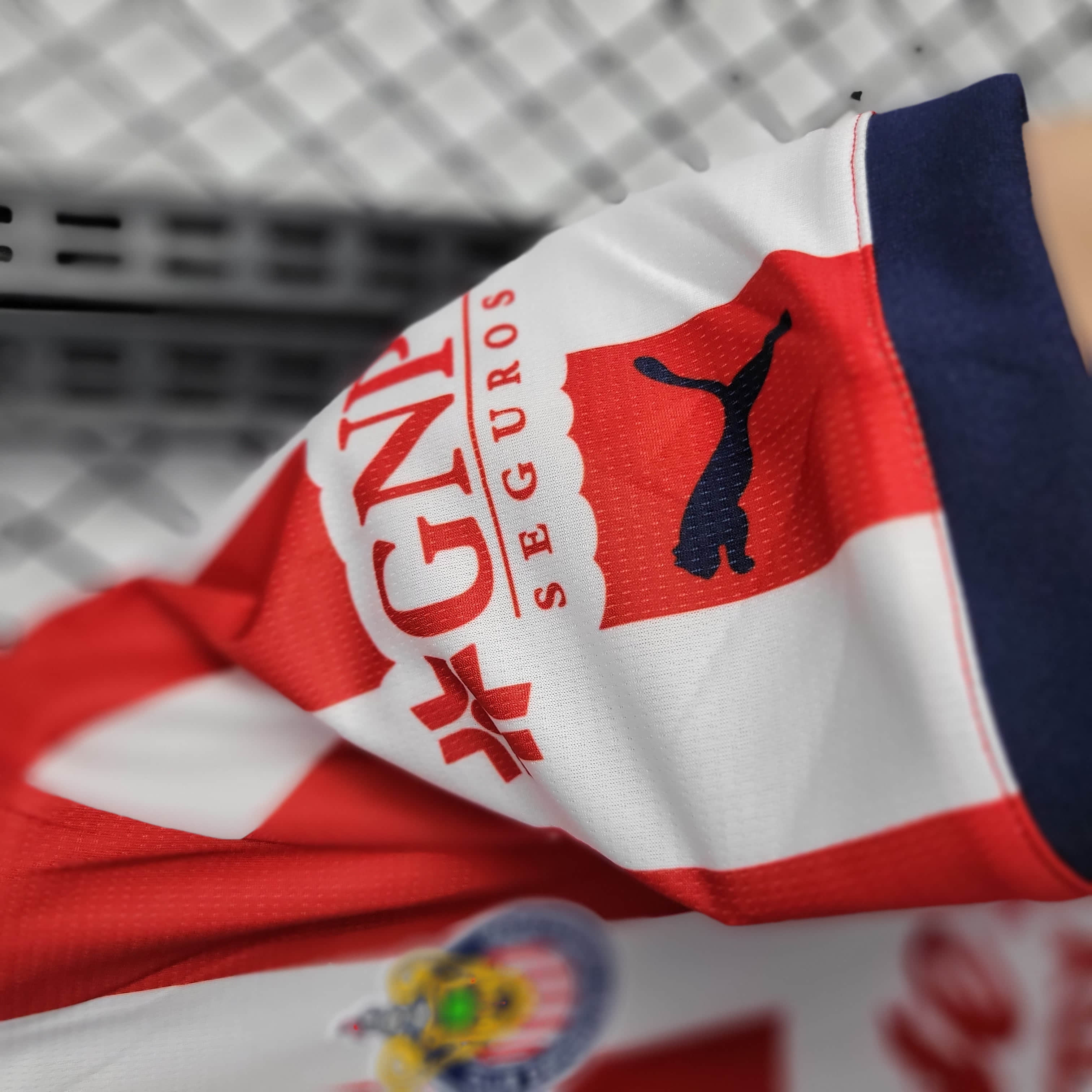 2024/2025 Chivas de Guadalajara Home Football Shirt